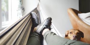 Zasilek dla bezrobotnych dla osób zameldowanych w Holandii